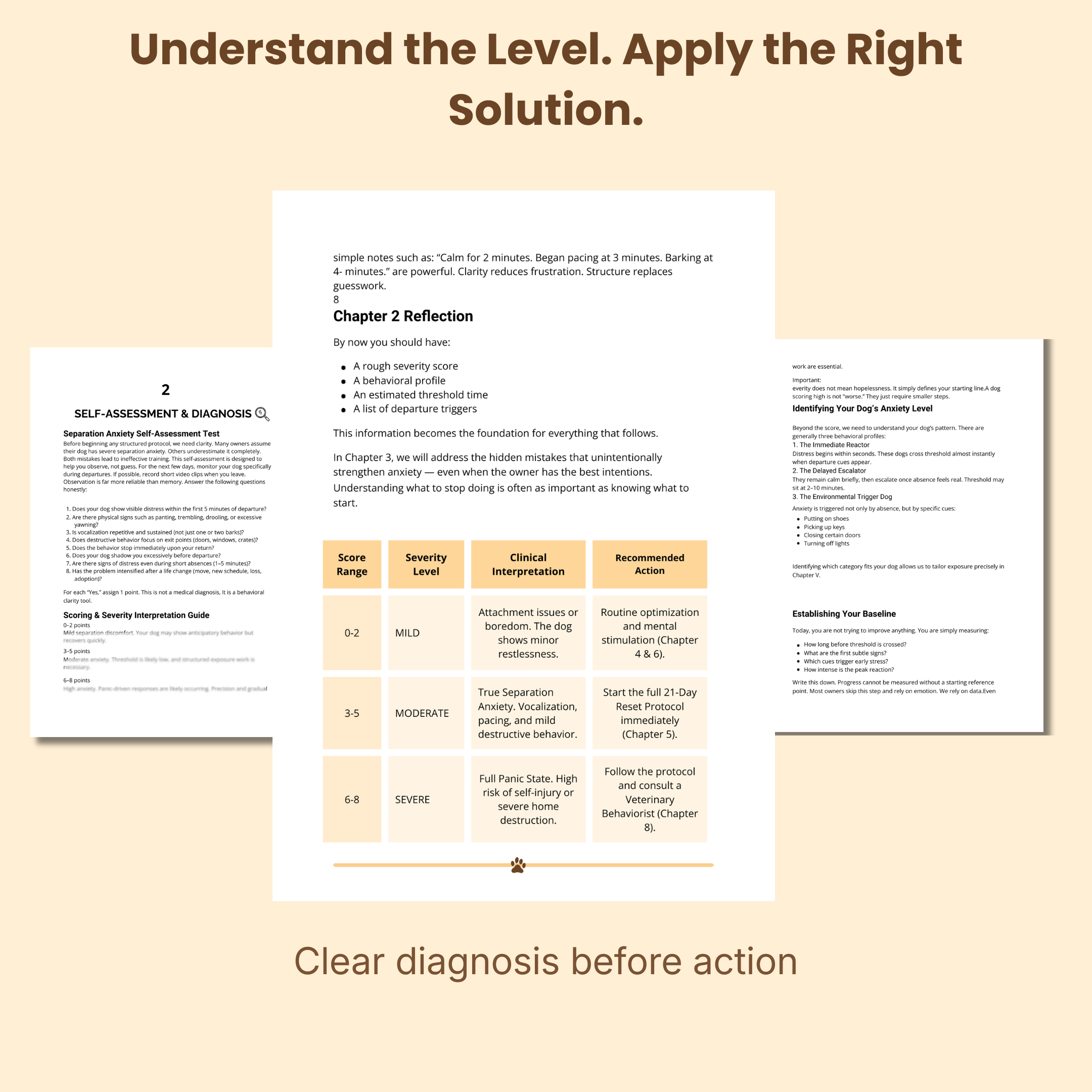 Dog Separation Anxiety guide